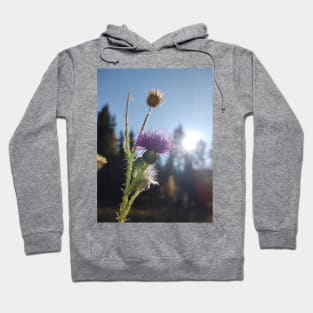 Thistle Hoodie